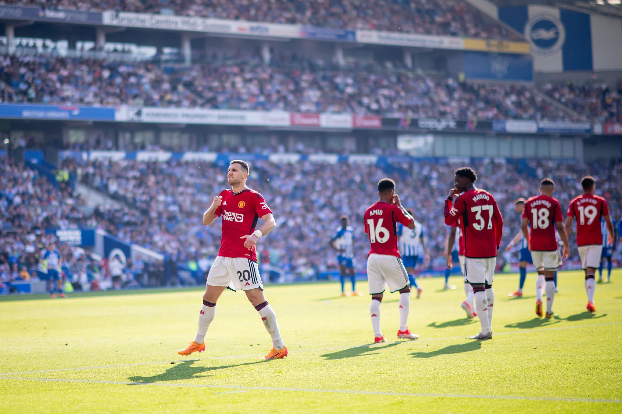 尽管他们依 尽管他们依