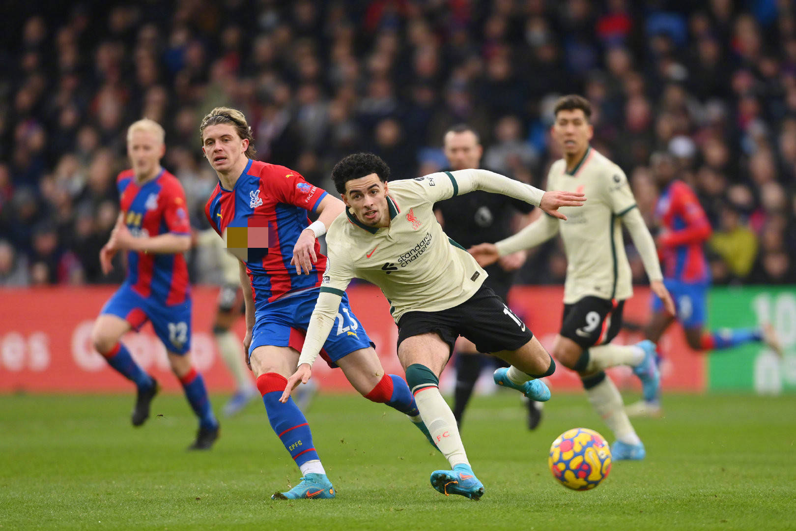 来增强球队 来增强球队